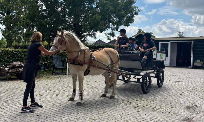 open dag paard en wagen